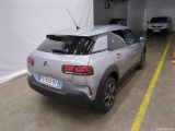 C4 Cactus