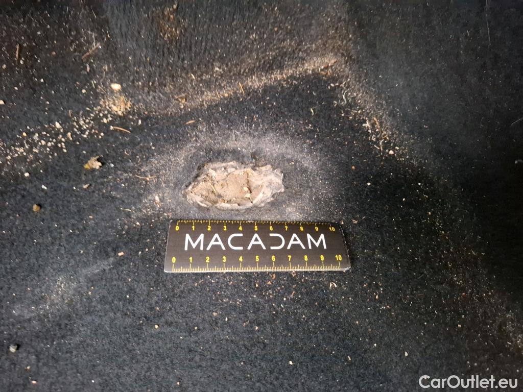  Skoda  Octavia  Berline Business 2.0 TDI 115CV BVM6 E6d #21