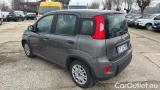  Fiat  Panda 1.0 FireFly 70cv S&S Hybrid #3