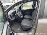  Fiat  Panda 1.0 FireFly 70cv S&S Hybrid #5