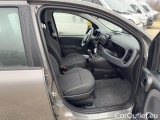  Fiat  Panda 1.0 FireFly 70cv S&S Hybrid #6