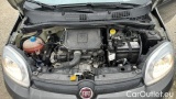  Fiat  Panda 1.0 FireFly 70cv S&S Hybrid #15