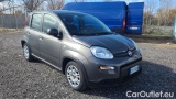  Fiat  Panda 1.0 FireFly 70cv S&S Hybrid #2