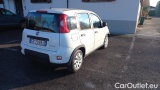  Fiat  Panda 1.0 FireFly 70cv S&S Hybrid #4