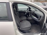  Fiat  Panda 1.0 FireFly 70cv S&S Hybrid #5