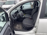  Fiat  Panda 1.0 FireFly 70cv S&S Hybrid #7
