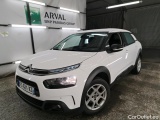 C4 Cactus