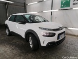 C4 Cactus