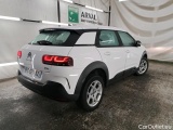 C4 Cactus