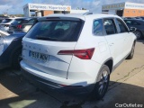  Skoda  Karoq  Ambition 2.0 TDI 115CV MT6 E6d #2