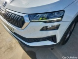  Skoda  Karoq  Ambition 2.0 TDI 115CV MT6 E6d #15