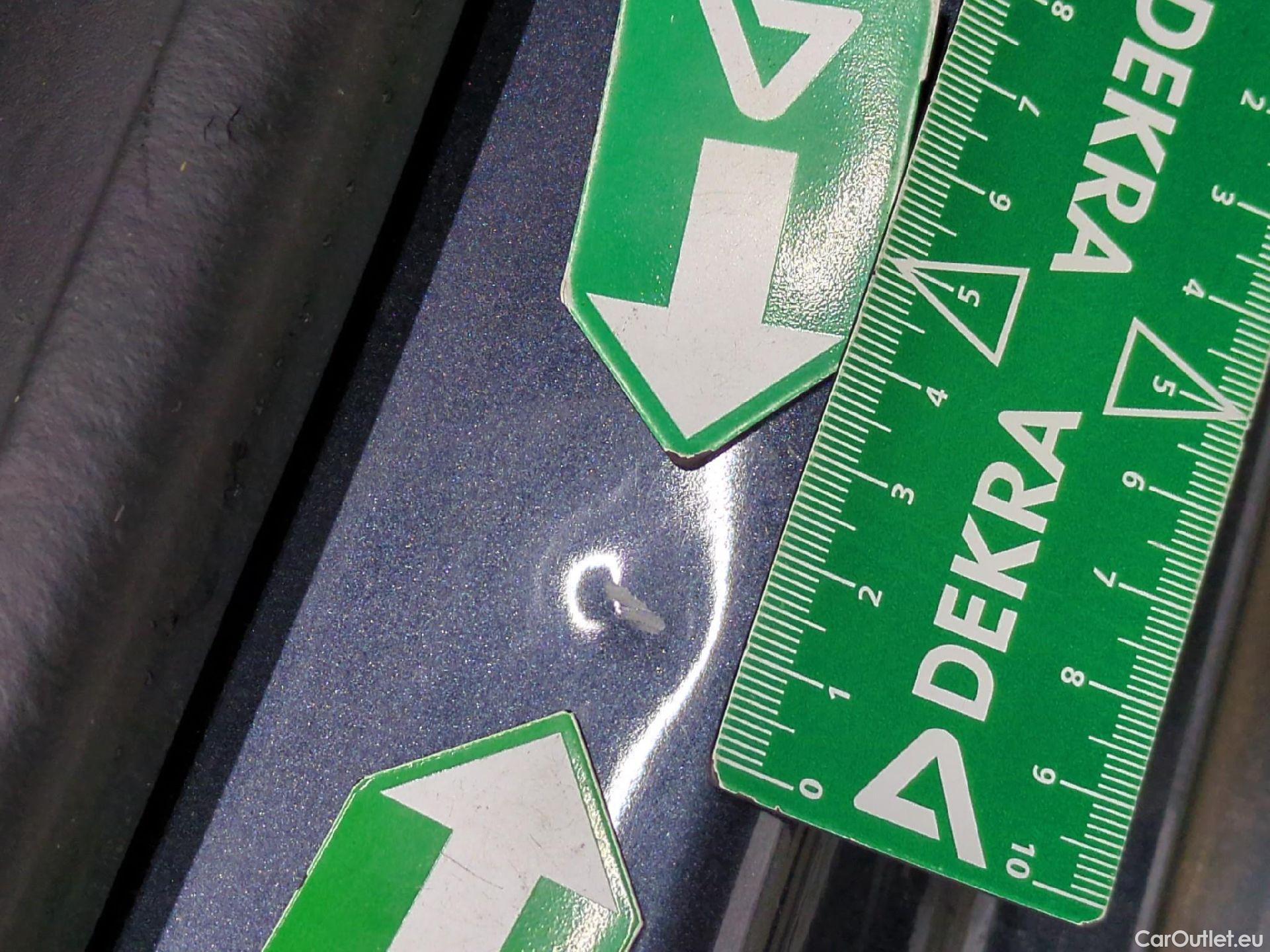  Renault  Megane  IV Estate Business 1.5 dCi 115CV BVA7 E6d #19