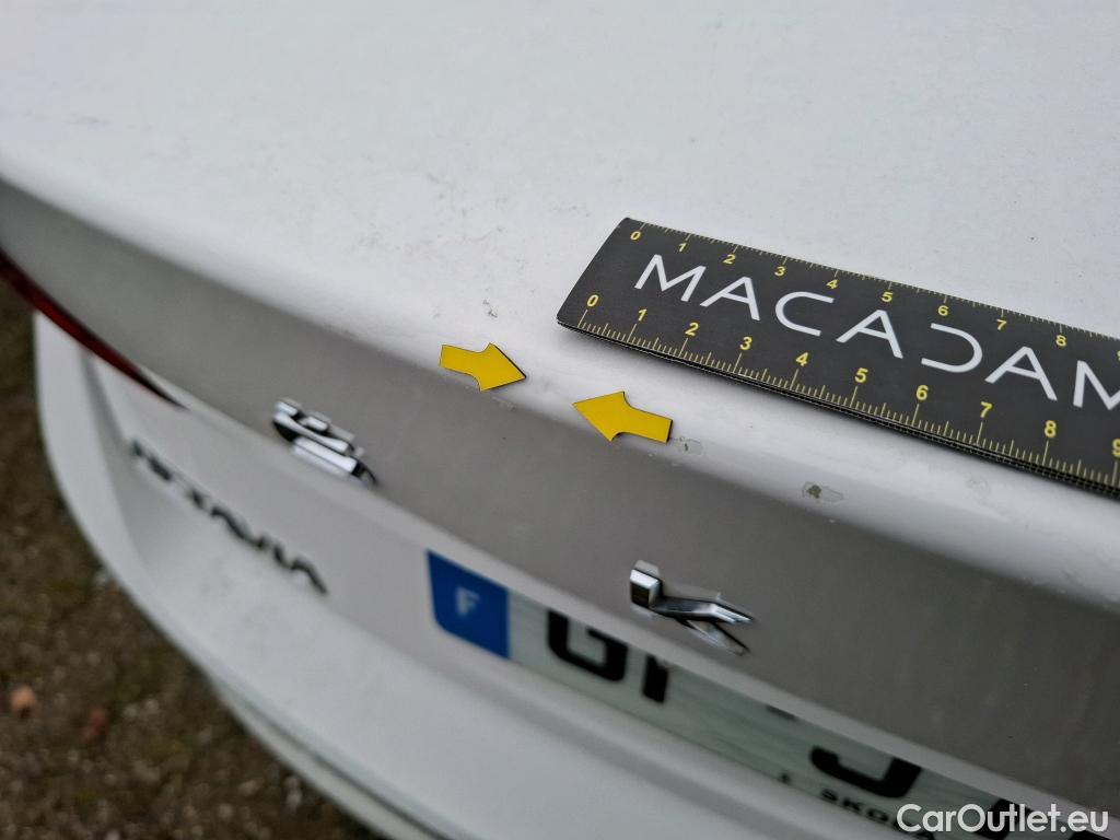  Skoda  Octavia  Berline Business 2.0 TDI 115CV BVM6 E6d #36