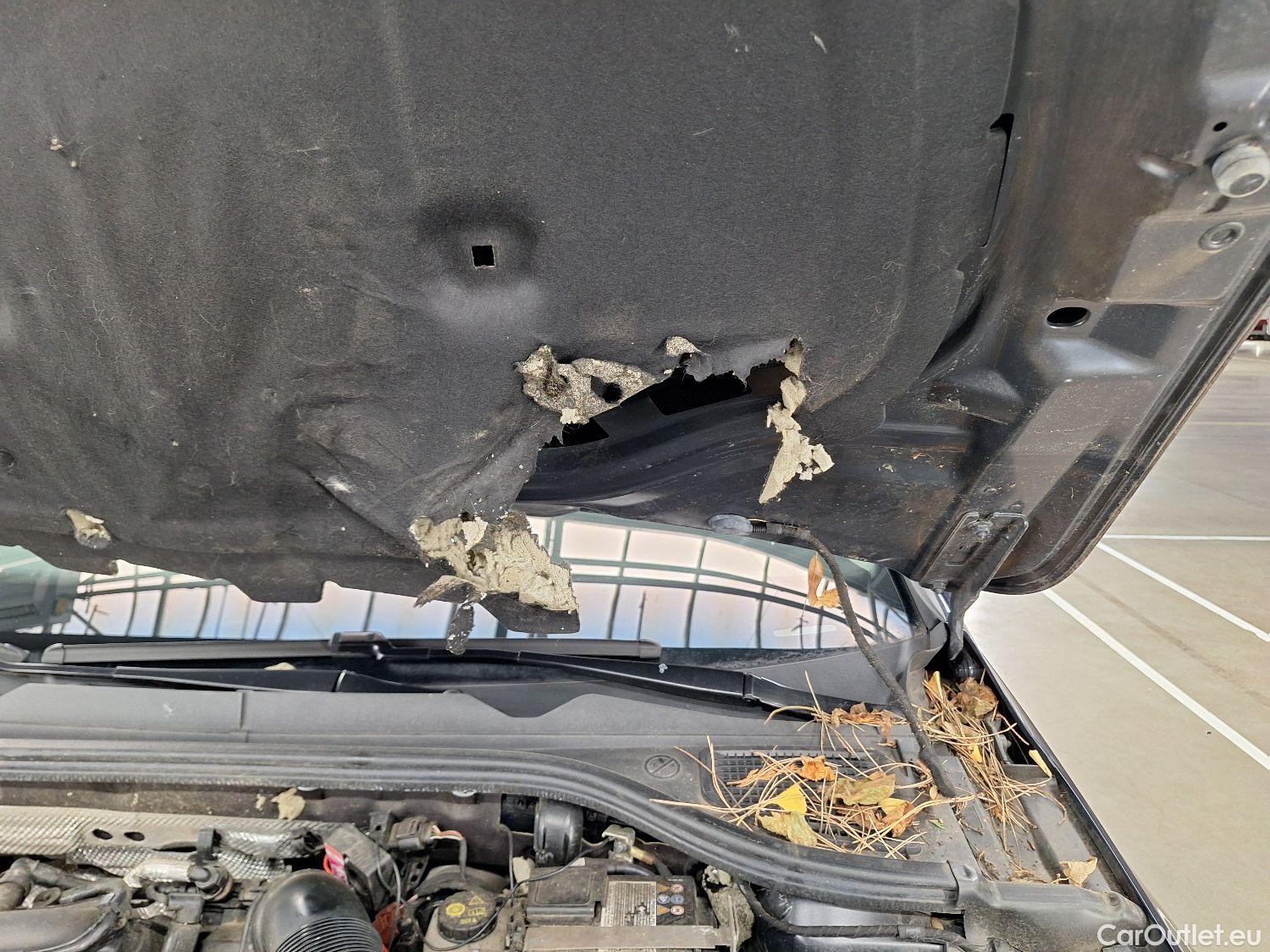  Volkswagen  Golf  VW, VIII '20, Volkswagen VIII 1.0 TSI 81kW Life 5d #54