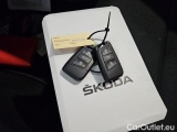  Skoda  Karoq 2.0l TDI DSG 4x4 AMBITION #12