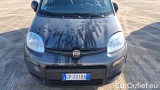 Fiat  Panda 1.0 FireFly 70cv S&S Hybrid #18