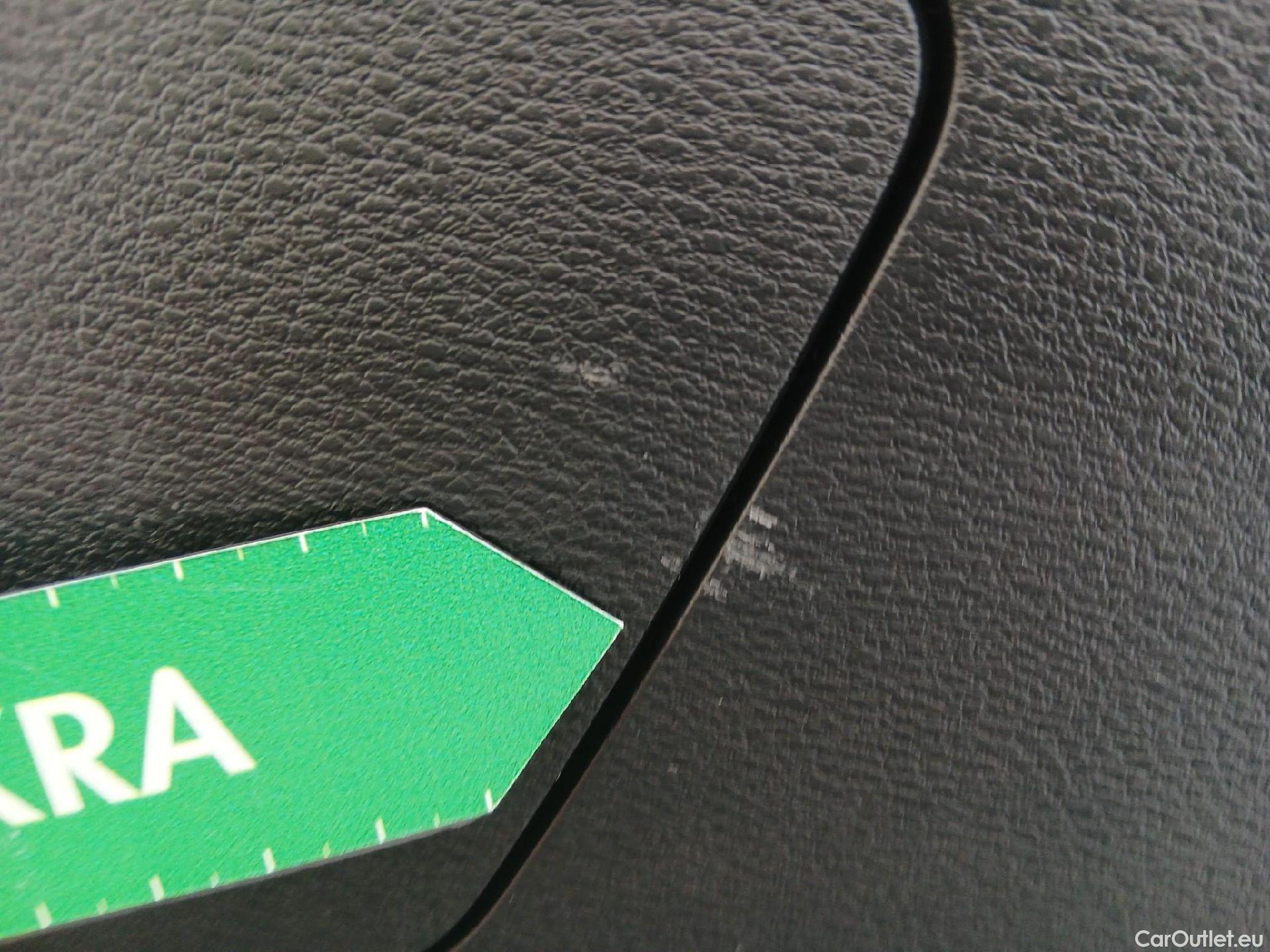  Bmw  X2 BMW  sDrive18i #24