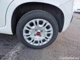  Fiat  Panda FIAT  / 2011 / 5P / BERLINA 1.2 69CV SeS E6D-TEMP EASY #19