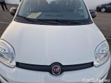  Fiat  Panda FIAT  / 2011 / 5P / BERLINA 1.2 69CV SeS E6D-TEMP EASY #29