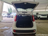  Fiat  Panda FIAT  / 2011 / 5P / BERLINA 1.2 69CV SeS E6D-TEMP EASY #5