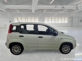  Fiat  Panda FIAT  / 2011 / 5P / BERLINA 1.2 69CV SeS E6D-TEMP EASY #7