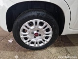  Fiat  Panda FIAT  / 2011 / 5P / BERLINA 1.2 69CV SeS E6D-TEMP EASY #18