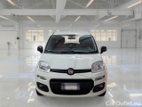  Fiat  Panda FIAT  / 2012 / 5P / BERLINA 1.3 MJT 80 CV EURO6 VAN SeS 2 POSTI POP #6