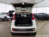  Fiat  Panda FIAT  / 2012 / 5P / BERLINA 1.3 MJT 80 CV EURO6 VAN SeS 2 POSTI POP #5