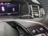  Skoda  Kodiaq  L&K 2.0 TDI 150CV BVA7 E6d #14