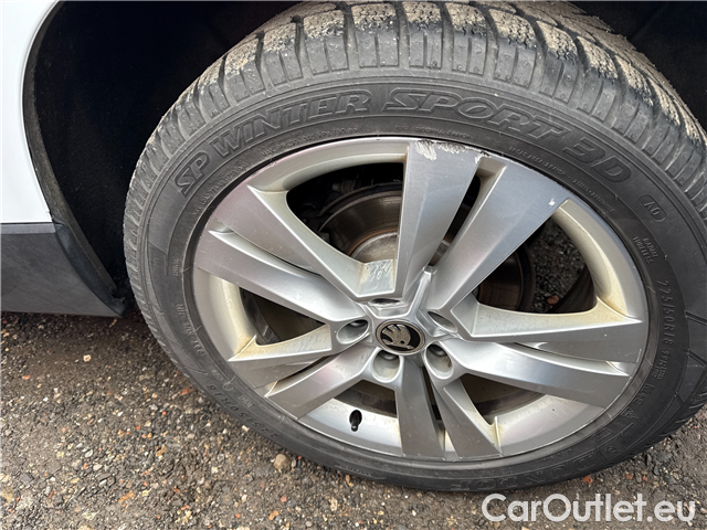  Skoda  Karoq  2.0TDI 110 4x4 Style AT #16