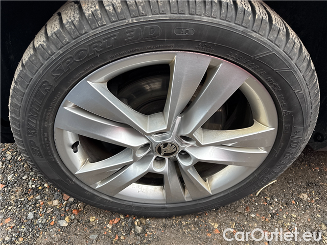  Skoda  Karoq  2.0TDI 110 4x4 Style AT #20