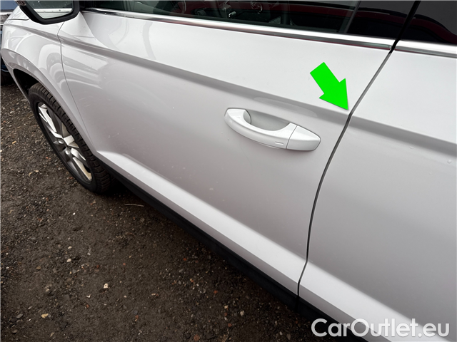  Skoda  Karoq  2.0TDI 110 4x4 Style AT #19