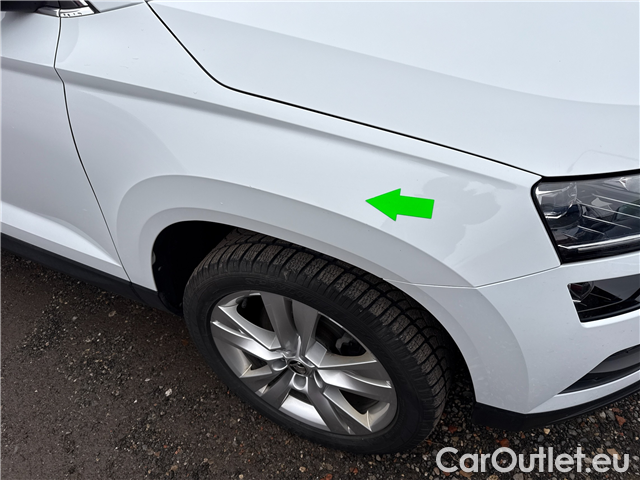  Skoda  Karoq  2.0TDI 110 4x4 Style AT #11