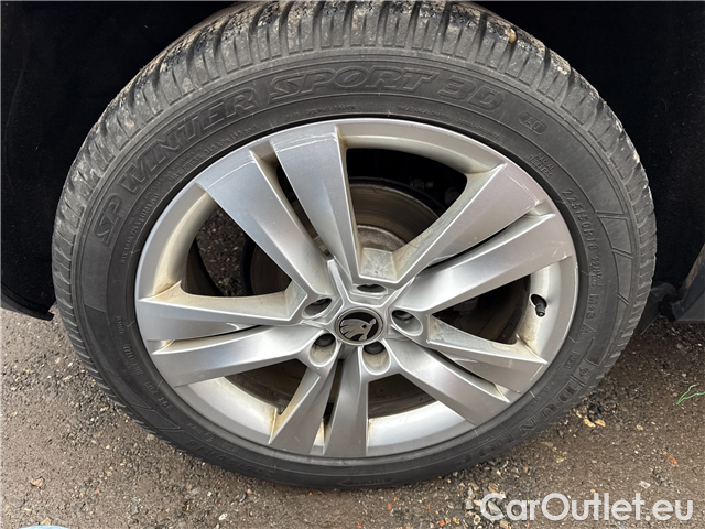  Skoda  Karoq  2.0TDI 110 4x4 Style AT #14