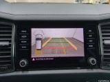  Skoda  Kodiaq  Business 2.0 TDI 150CV BVA7 E6d #12
