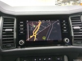  Skoda  Kodiaq  Business 2.0 TDI 150CV BVA7 E6d #13
