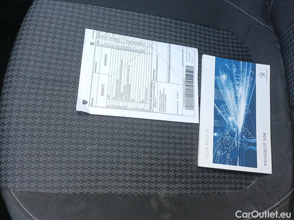  Peugeot  308 PEUGEOT  / 2017 / 5P / berlina con portón 5p Active 1.2 PureTech 96KW (130CV) S&S #10