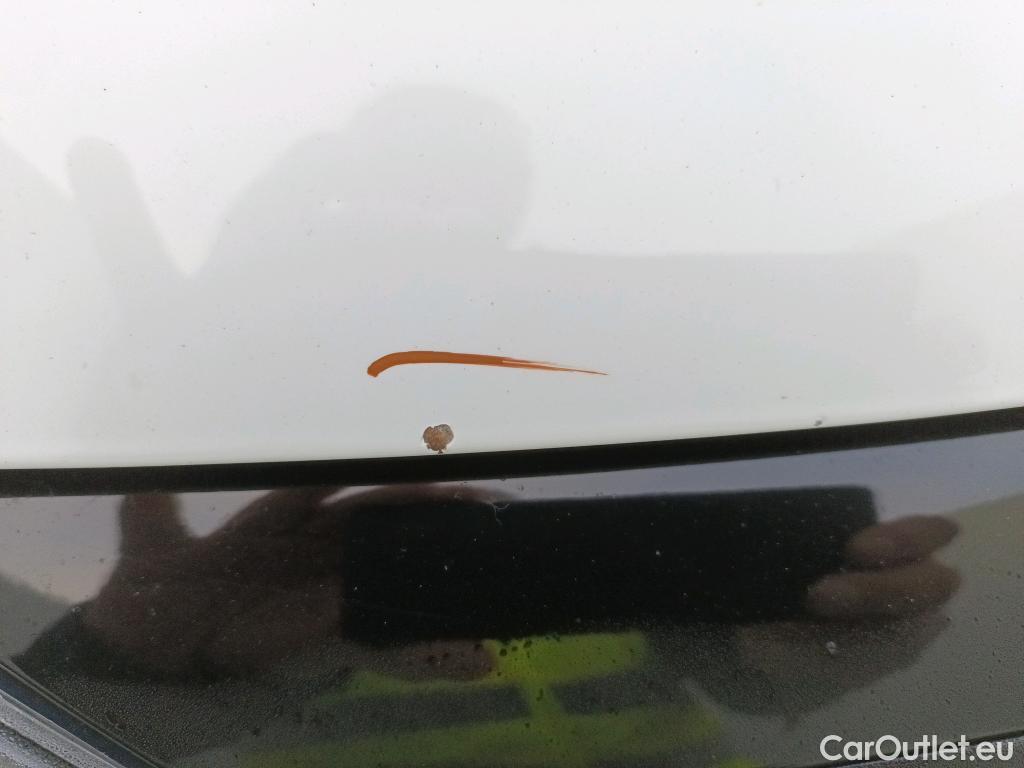  Renault  Clio RENAULT  / 2016 / 5P / berlina con portón Business dCi 66kW (90CV) -18 (AC) #34