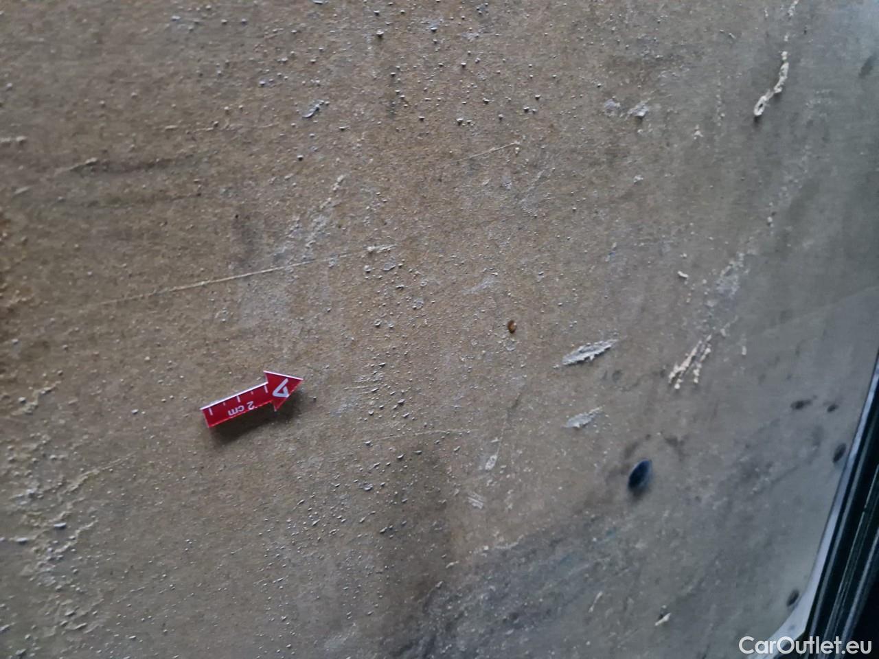  Renault  Master 2.3 Blue dCi 180CP Tractiune L3H2 #51