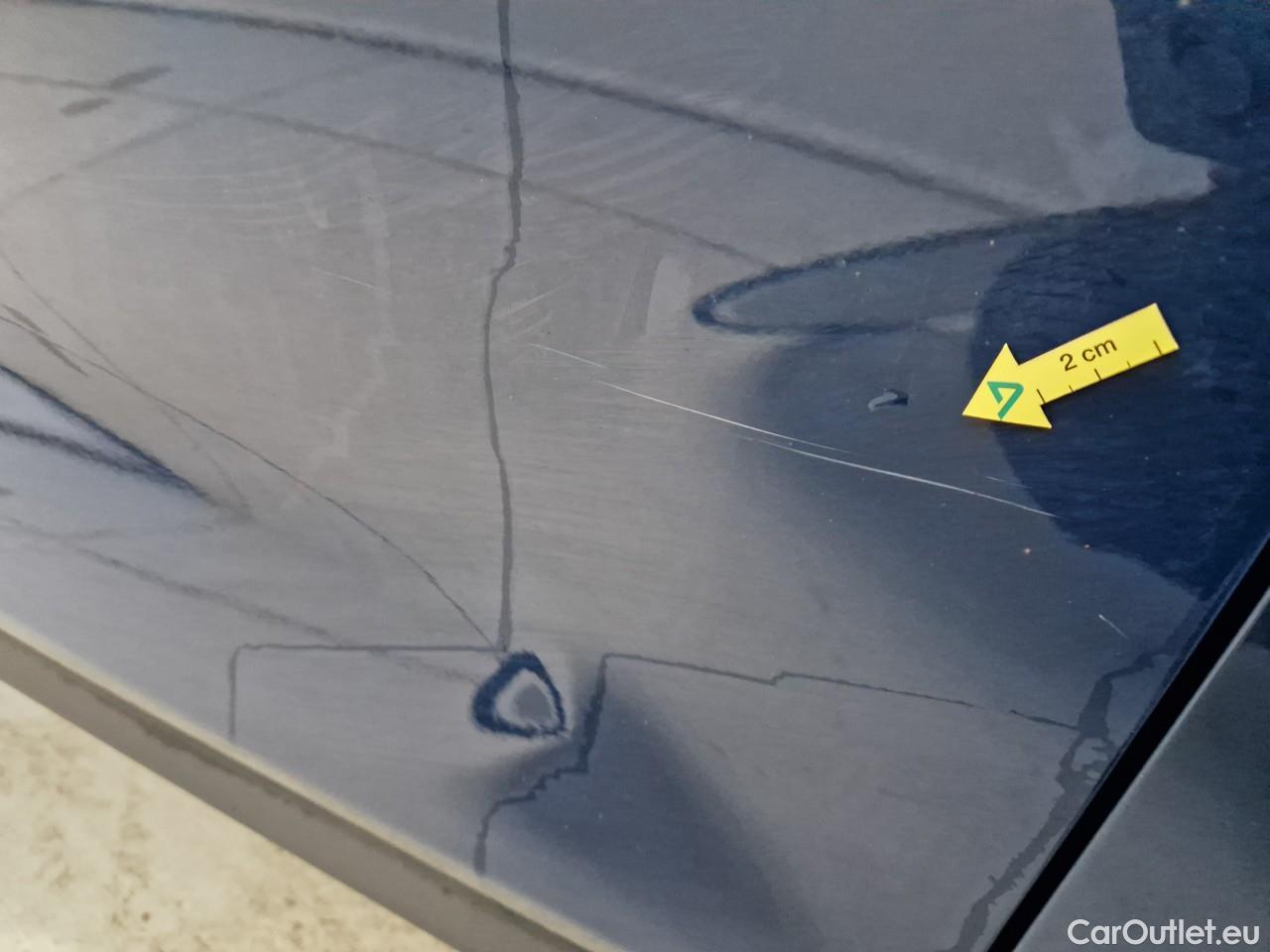  Ford  Focus 1.5 EcoBlue 120CP Trend #15