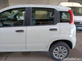  Fiat  Panda FIAT  / 2011 / 5P / BERLINA 0.9 TWINAIR TURBO NATURAL POWER EASY #69