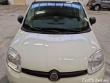  Fiat  Panda FIAT  / 2012 / 5P / BERLINA 1.0 70CV HYBRID EURO 6D VAN 4 P. STREET #31