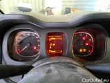  Fiat  Panda FIAT  / 2012 / 5P / BERLINA  VAN 2019 4X4 BZ 85CV 2P E6 POP #20