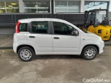  Fiat  Panda FIAT  / 2012 / 5P / BERLINA 1.3 MJT 80 CV VAN EURO6 SeS 4 POSTI EASY #7