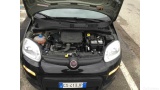  Fiat  Panda 1.0 FireFly 70cv S&S Hybrid Manual Petrol  1 #37