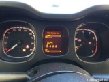  Fiat  Panda 1.0 FireFly 70cv S&S Hybrid Manual Petrol  5 #27