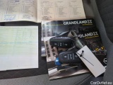  Opel   Grandland X Grandland X Elegance 1.5 96KW AT8 E6d #19