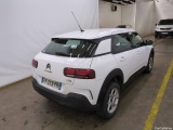 C4 Cactus