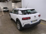C4 Cactus