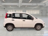 Fiat  Panda FIAT  / 2011 / 5P / BERLINA 1.0 FIREFLY 70CV SeS HYBRID #7